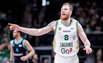 Brazdeikis