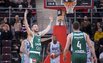 Brazdeikis