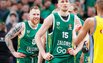 Brazdeikis
