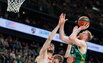 Brazdeikis