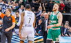 Brazdeikis