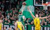 Brazdeikis