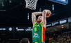 Brazdeikis