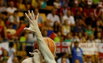 Vesely