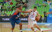 Bjelica