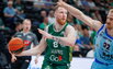 Brazdeikis