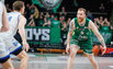 Brazdeikis