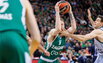 Brazdeikis