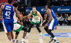 Brazdeikis
