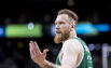 Brazdeikis