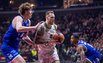 Brazdeikis