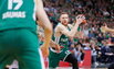 Brazdeikis