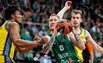 Brazdeikis
