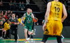 Brazdeikis