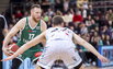 Brazdeikis