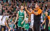Brazdeikis
