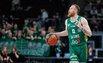 Brazdeikis
