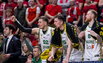 Žalgiris