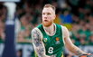 Brazdeikis