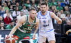 Brazdeikis