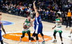 Brazdeikis