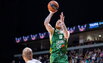 Brazdeikis