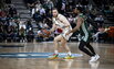 Brazdeikis
