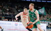 Brazdeikis
