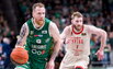 Brazdeikis