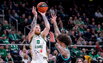Brazdeikis