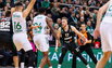 Brazdeikis
