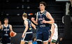 Bjelica