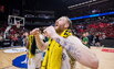 Brazdeikis