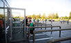 Šiaulių arena