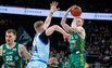 Brazdeikis