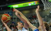 Bjelica