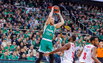 Brazdeikis