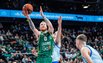 Brazdeikis