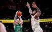 Brazdeikis