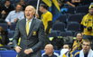Kurtinaitis