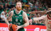Brazdeikis