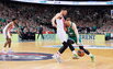 Brazdeikis