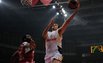 Bjelica