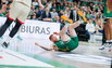 Brazdeikis