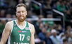 Brazdeikis