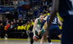 Brazdeikis