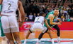 Brazdeikis