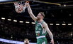 Brazdeikis