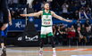 Brazdeikis