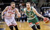 Brazdeikis
